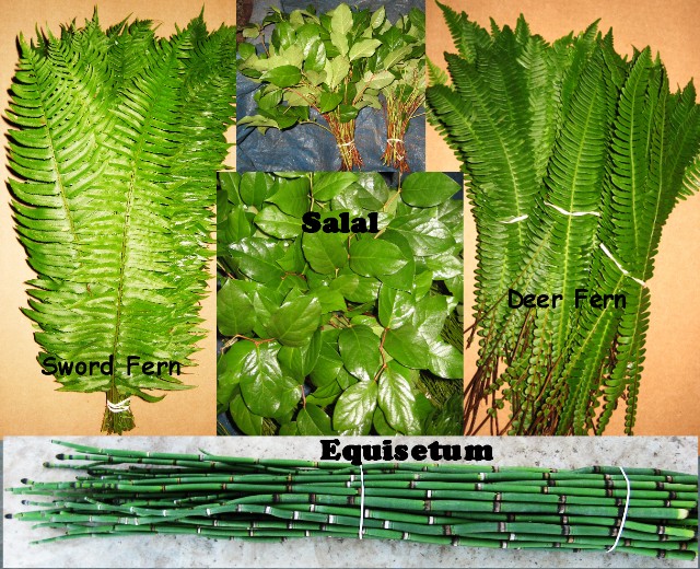 Deer & Sword Fern, Equisetum, and Salal, 400 Fresh Cut, Stems